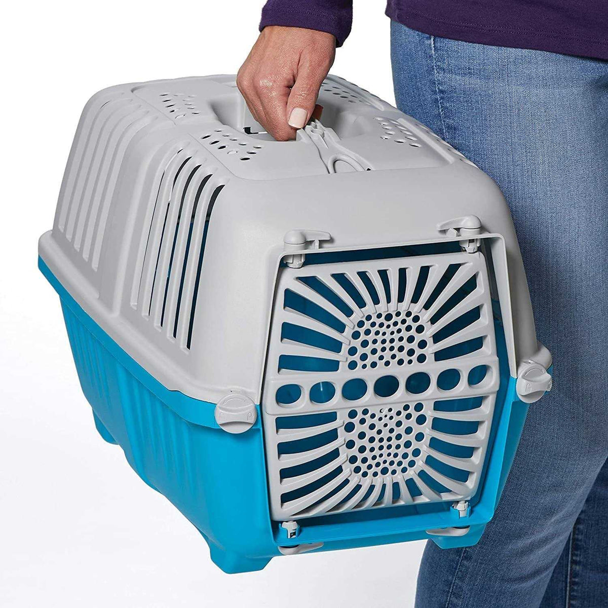 Plastic Door Travel Carrier Pet Kennel Z882526