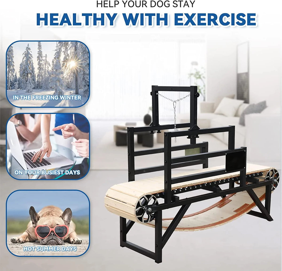Manual Dog Treadmill B67306