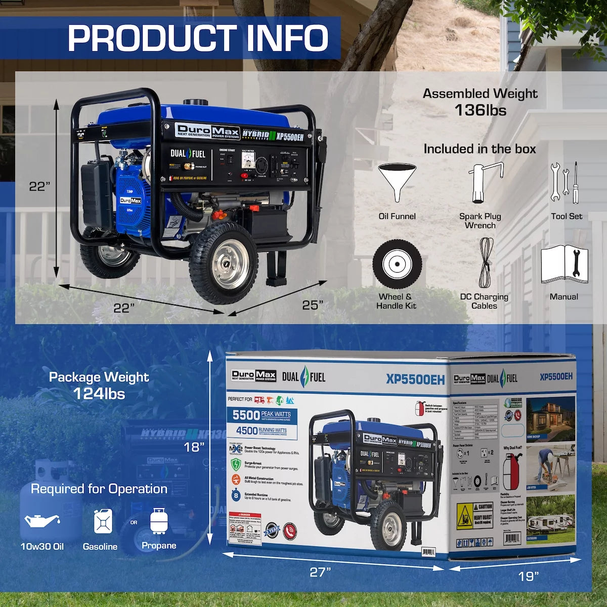 5500-Watt Dual Fuel Portable Generator D795309