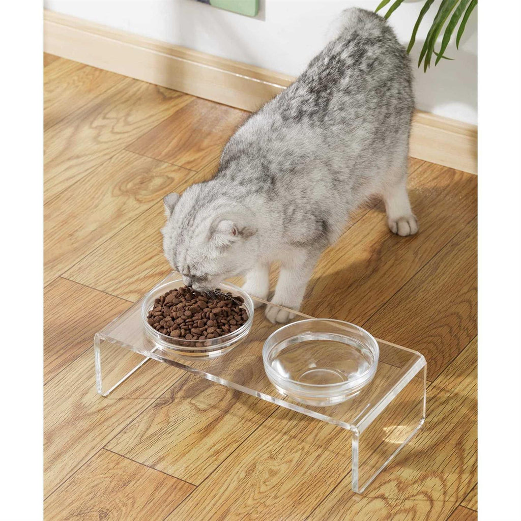 Acrylic Elevated Dog Cat Bowls with Removable Glass and Stainless Steel Bowls T98188