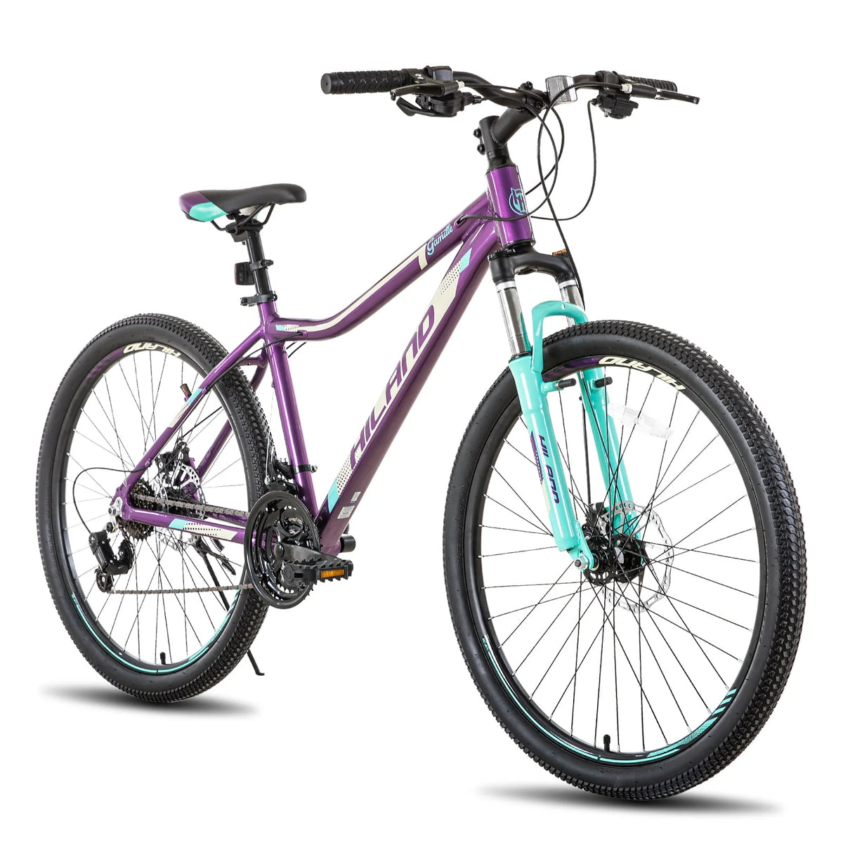 21 Speed 26 inch Mint Green Mountain Bike B207