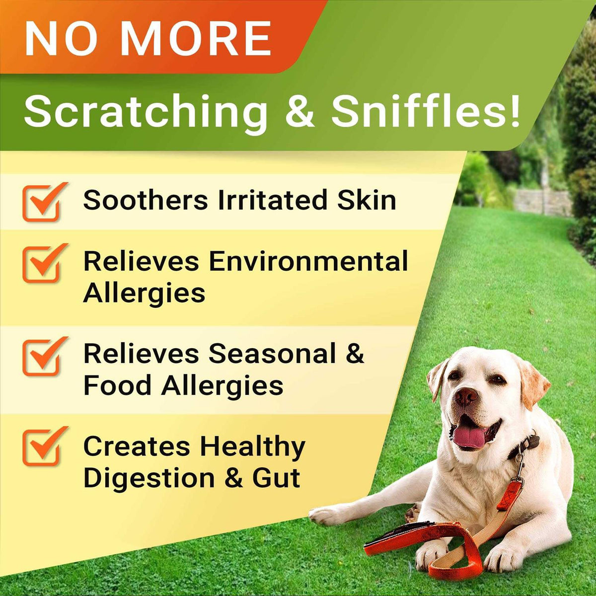 Allergy Relief Immune Chews K3251