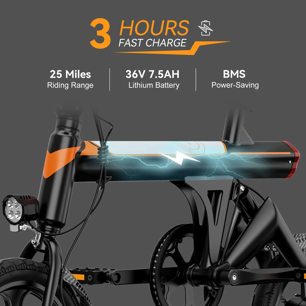 14 Folding Electric Bike with 350W Motor A8133