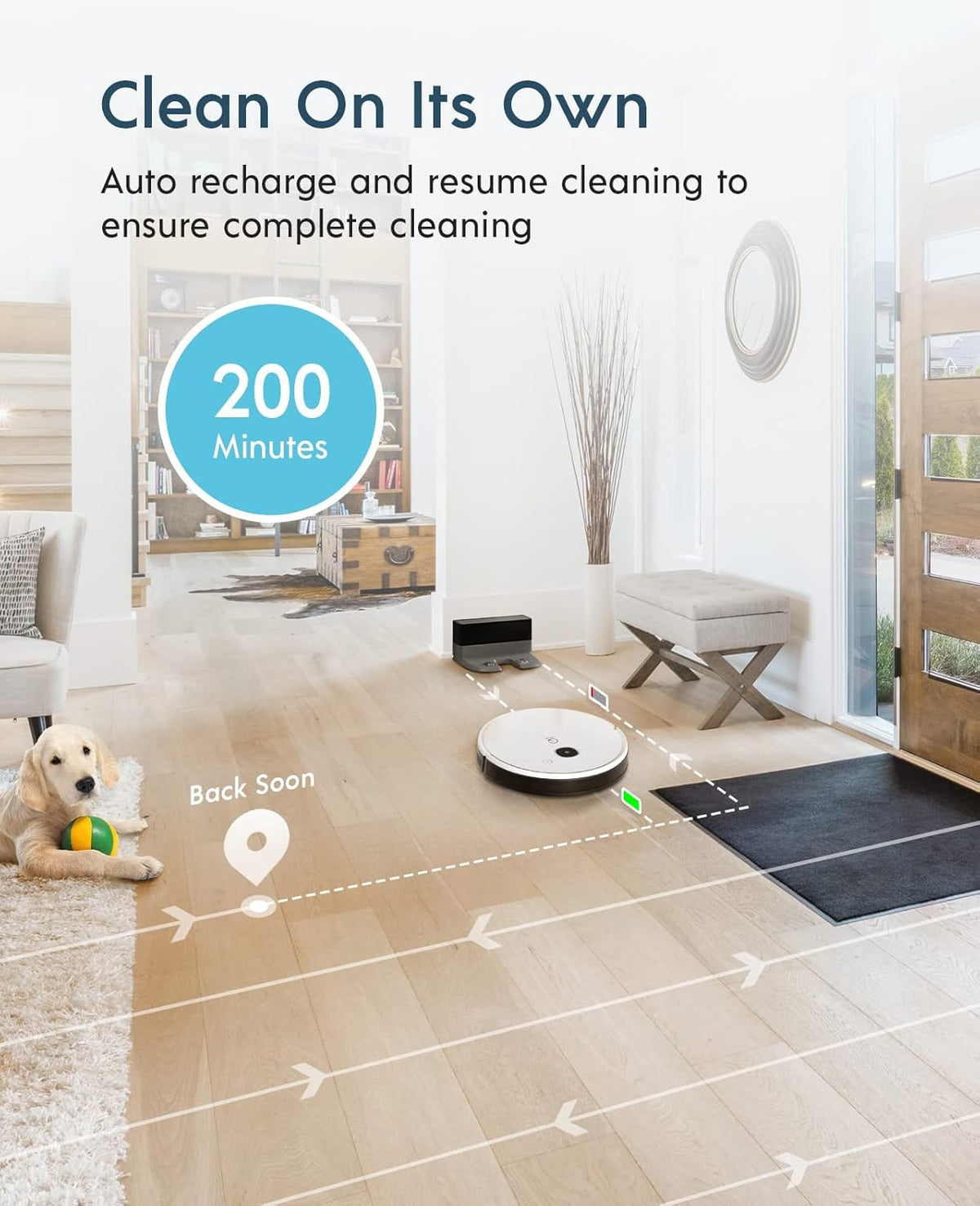 Robot Vacuum and Mop, Self-Emptying 3 in 1, 3000Pa Suction H9068