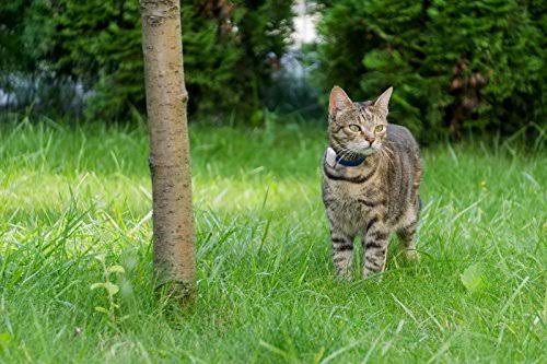 Pet Safety Tracker RF Technology Dog and Cat S247853