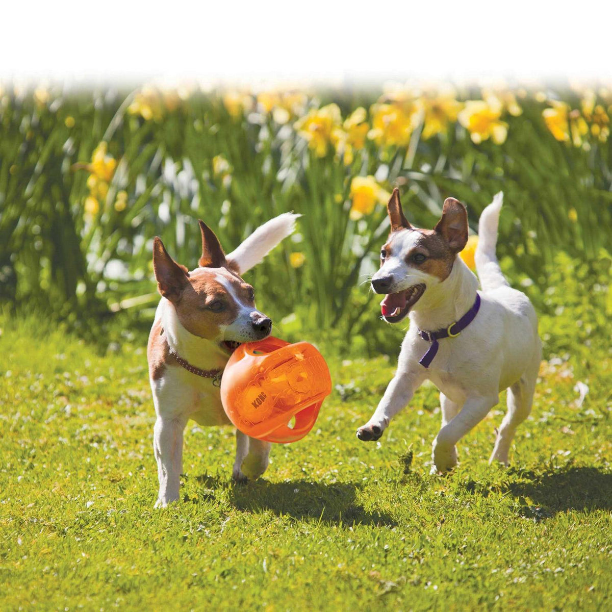 Jumbler Ball Dog Toy K7777