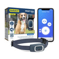 Dog Trainer H93523