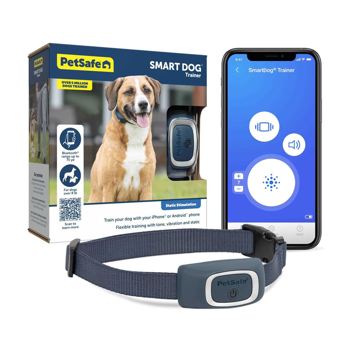 Dog Trainer H93523