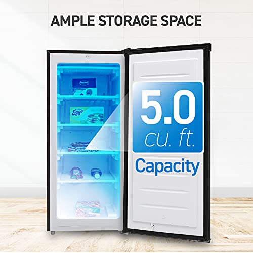 Upright Freezer E498