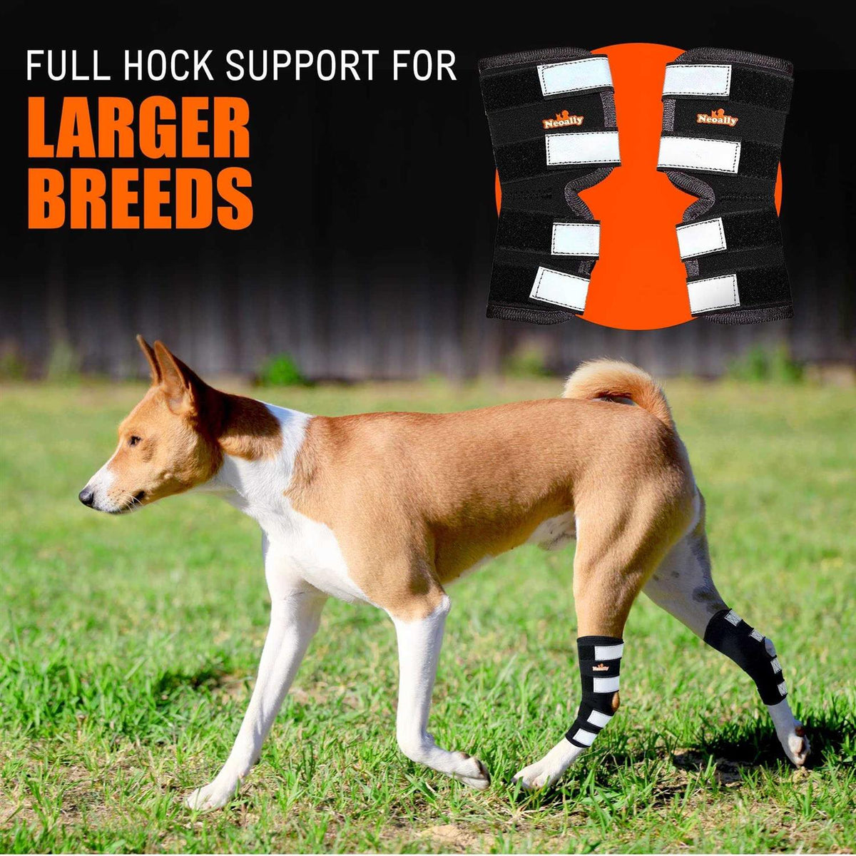 Dog Hind Leg Brace with Reflective Straps W57552