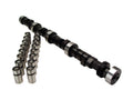 Camshaft and Lifter Kit H67491