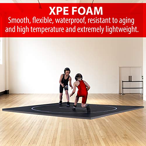 10' x 10' Wrestling Mat S35823