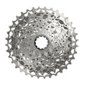 12-Speed Cassette C218556