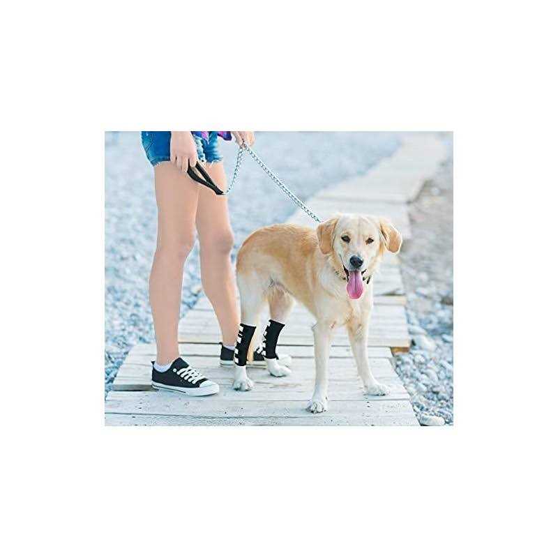 Dog Hind Leg Brace with Reflective Straps W57552