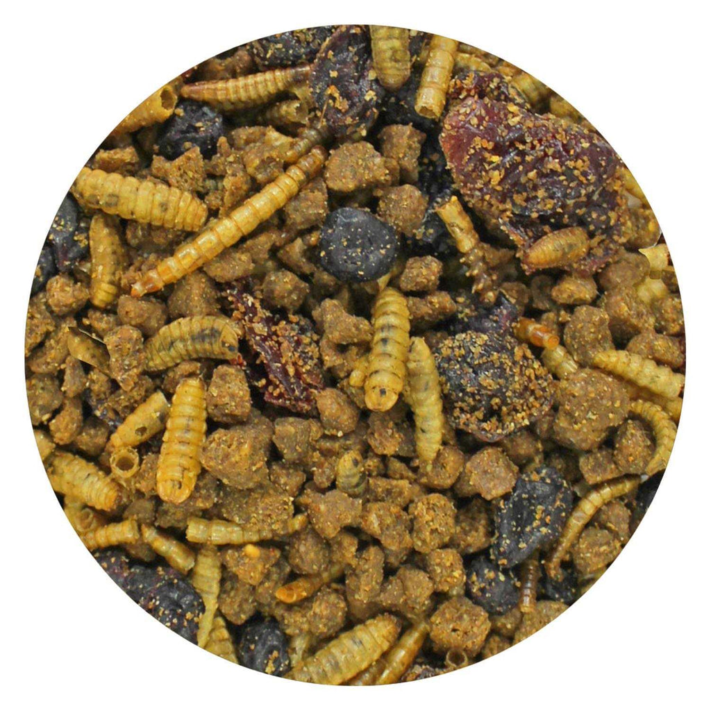 Berries & Bugs Insectivores Food C941
