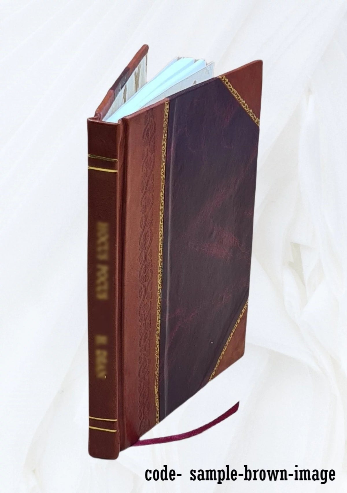 Leather Bound Book H595