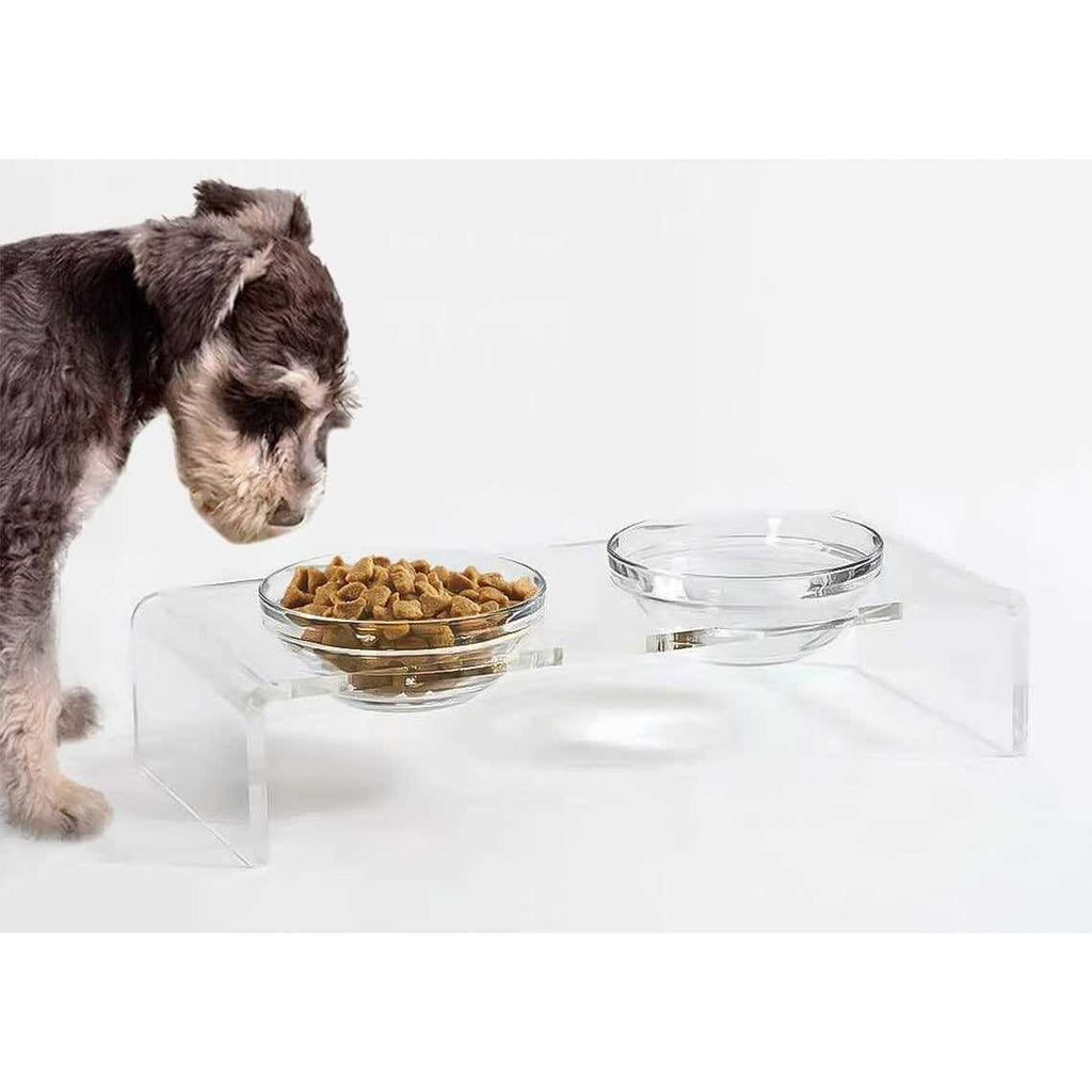 Acrylic Elevated Dog Cat Bowls with Removable Glass and Stainless Steel Bowls T98188
