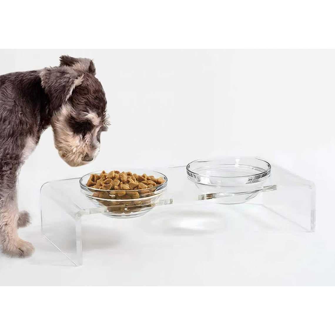 Acrylic Elevated Dog Cat Bowls with Removable Glass and Stainless Steel Bowls T98188