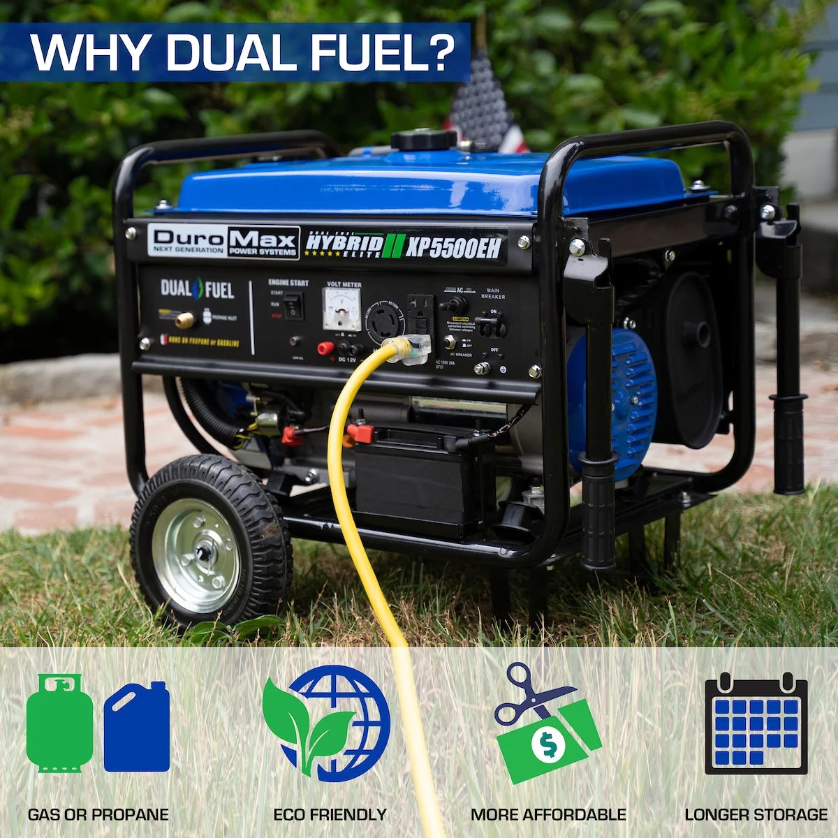 5500-Watt Dual Fuel Portable Generator D795309