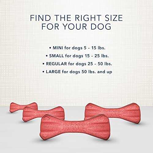 Dental Bones Dog Treats B303