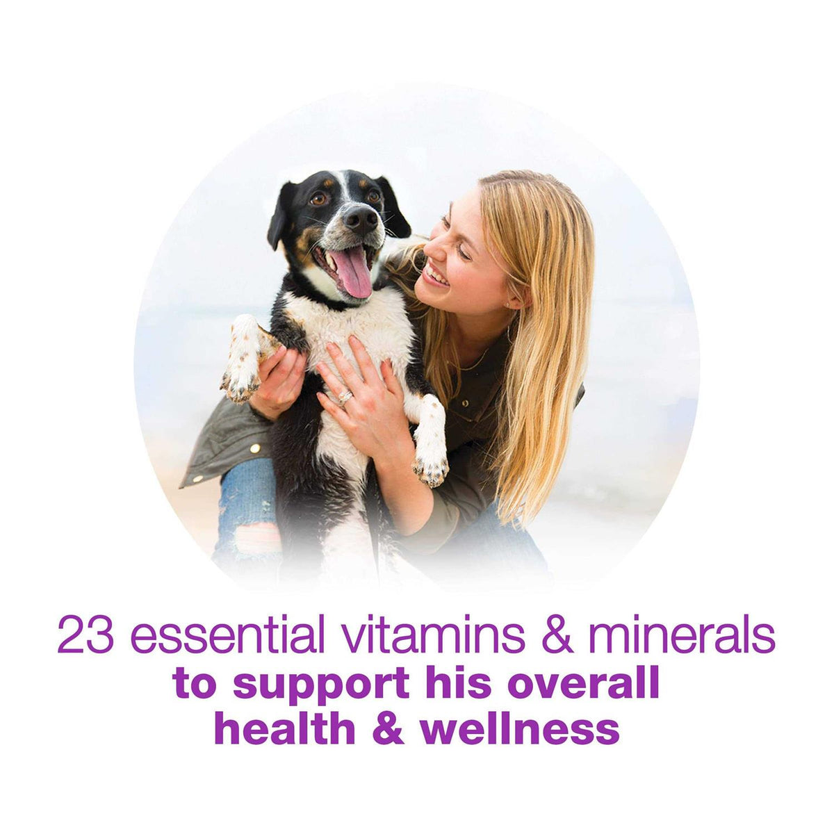 Wet Dog Food U5268