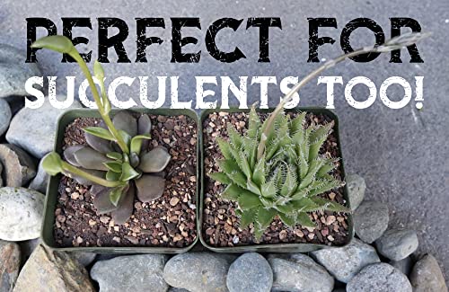 Cactus Potting Mix with Mycorrhizal Fungi 8 Pounds O75867