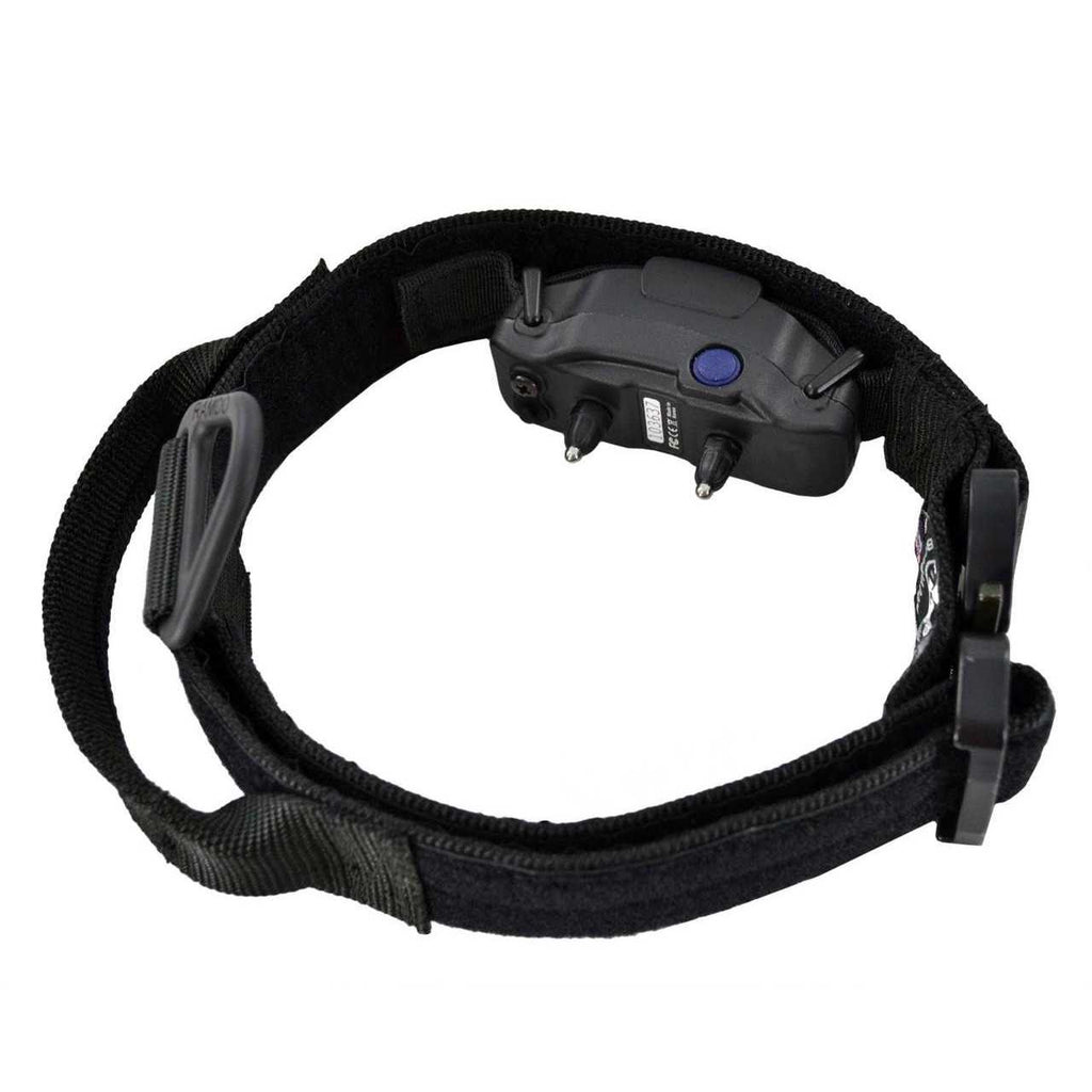 ID Collar Q71999