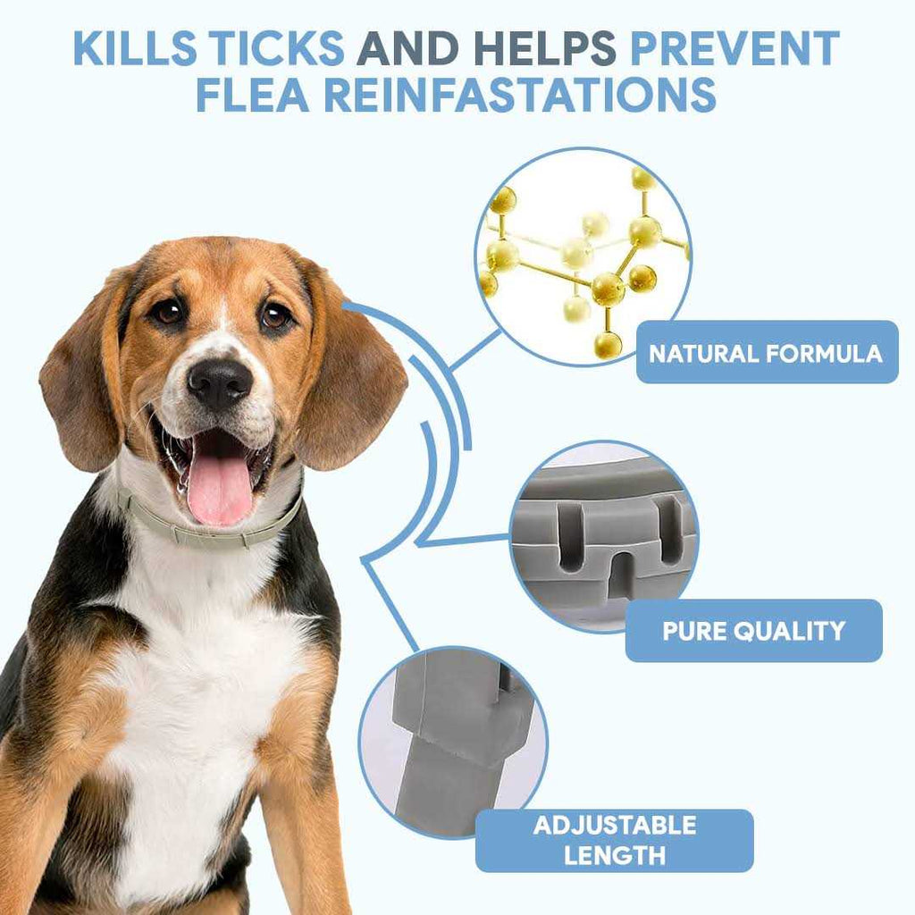 Flea & Tick Repellent Dog Collar U5007