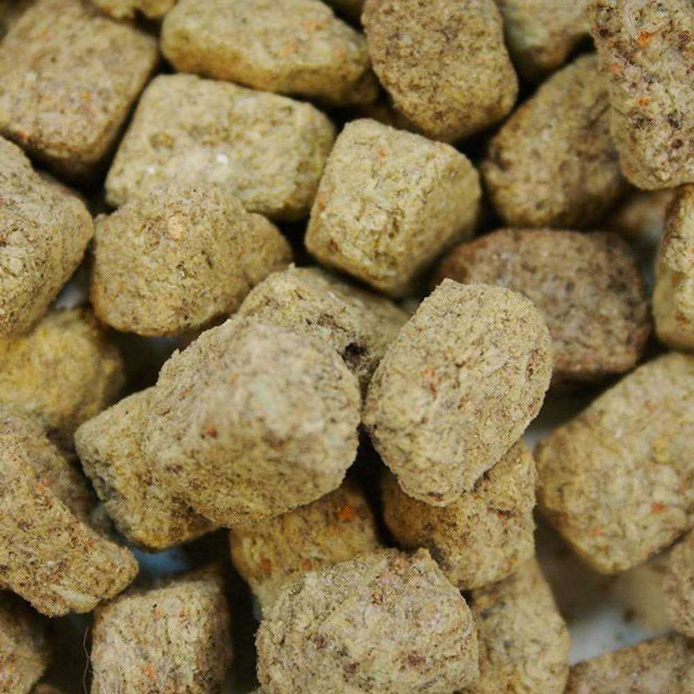 Freeze Dried Brine Shrimp W773990