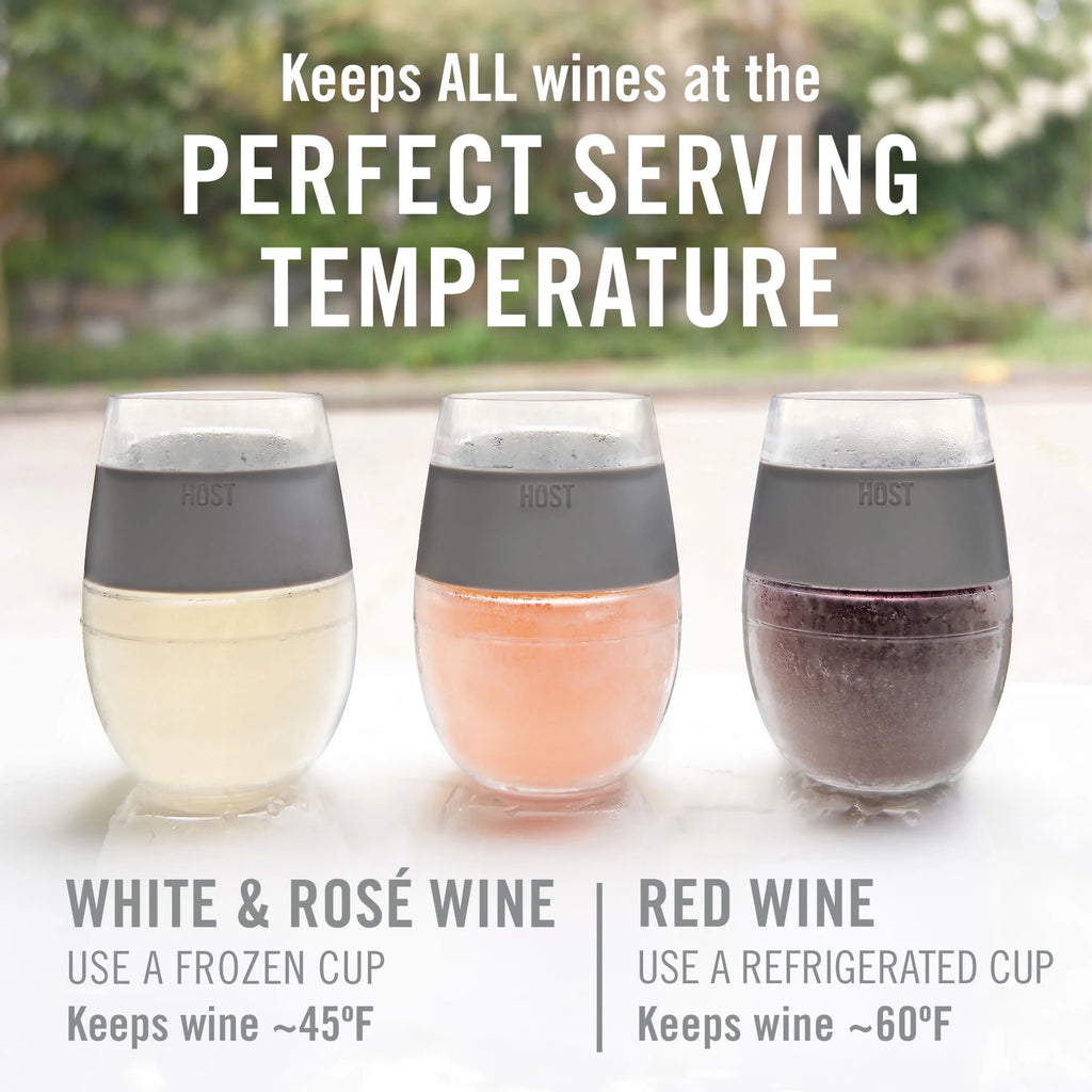 Mint Set of 2 Plastic Double Wall Insulated Wine Tumbler W107
