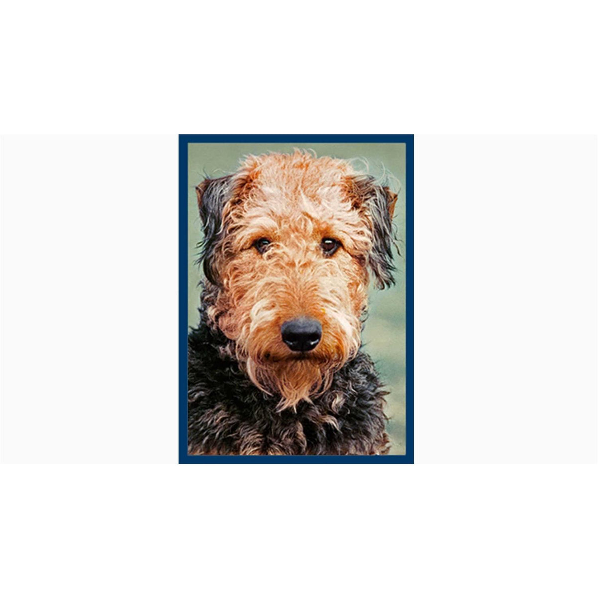 Dental Bones Dog Treats B303