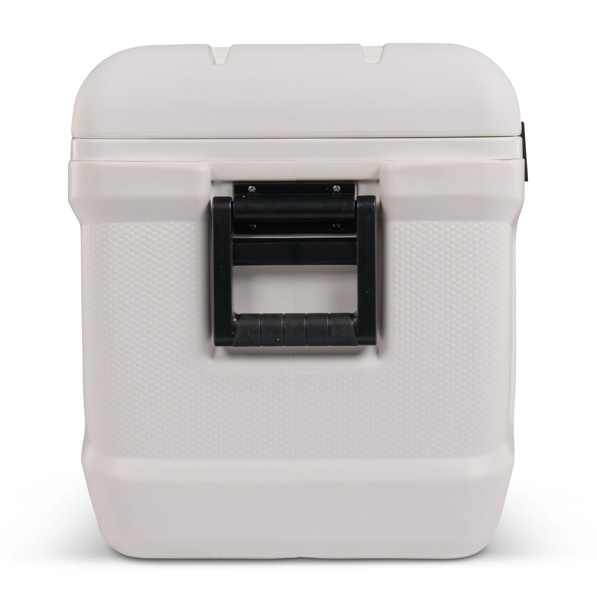 150 QT White Hard Side Cooler D87909
