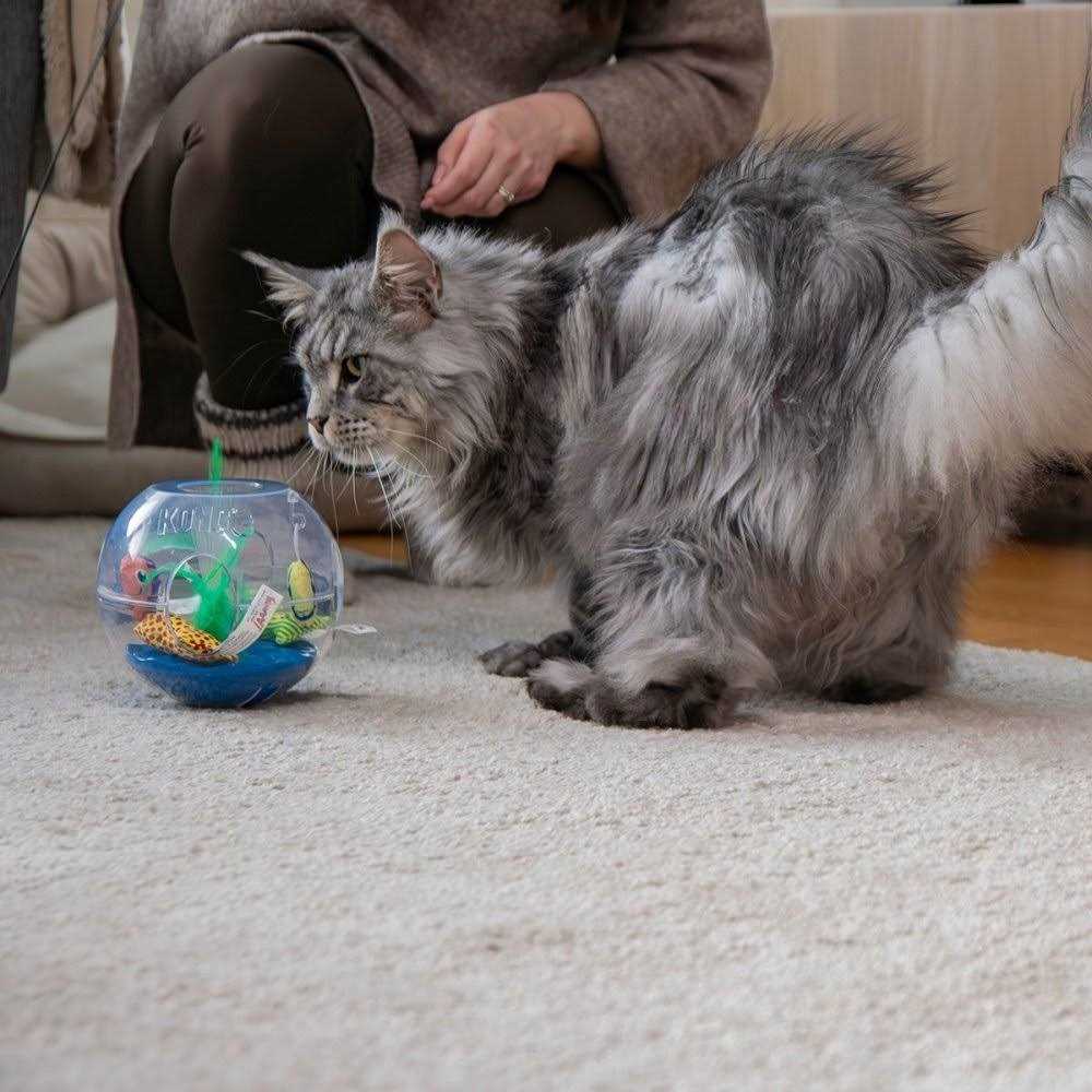 Glow Aquarium Cat Toy X5055
