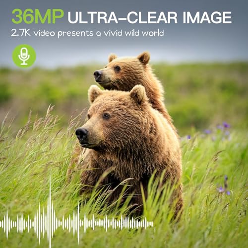Trail Camera 2 Pack 36 MP 2.7K with 32GB Memory Card 4 Batteries 2.0" LCD Screen 120° Night Vision IP66 Waterproof Y7870