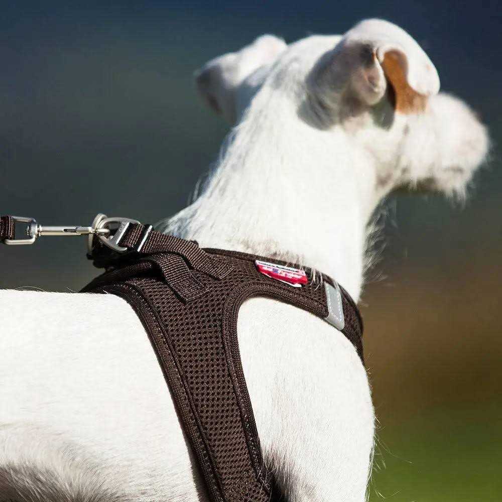 Air-Mesh Dog Harness H6998