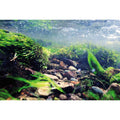 Reversible Aquarium Background N77417