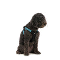 Dog Harness V3549