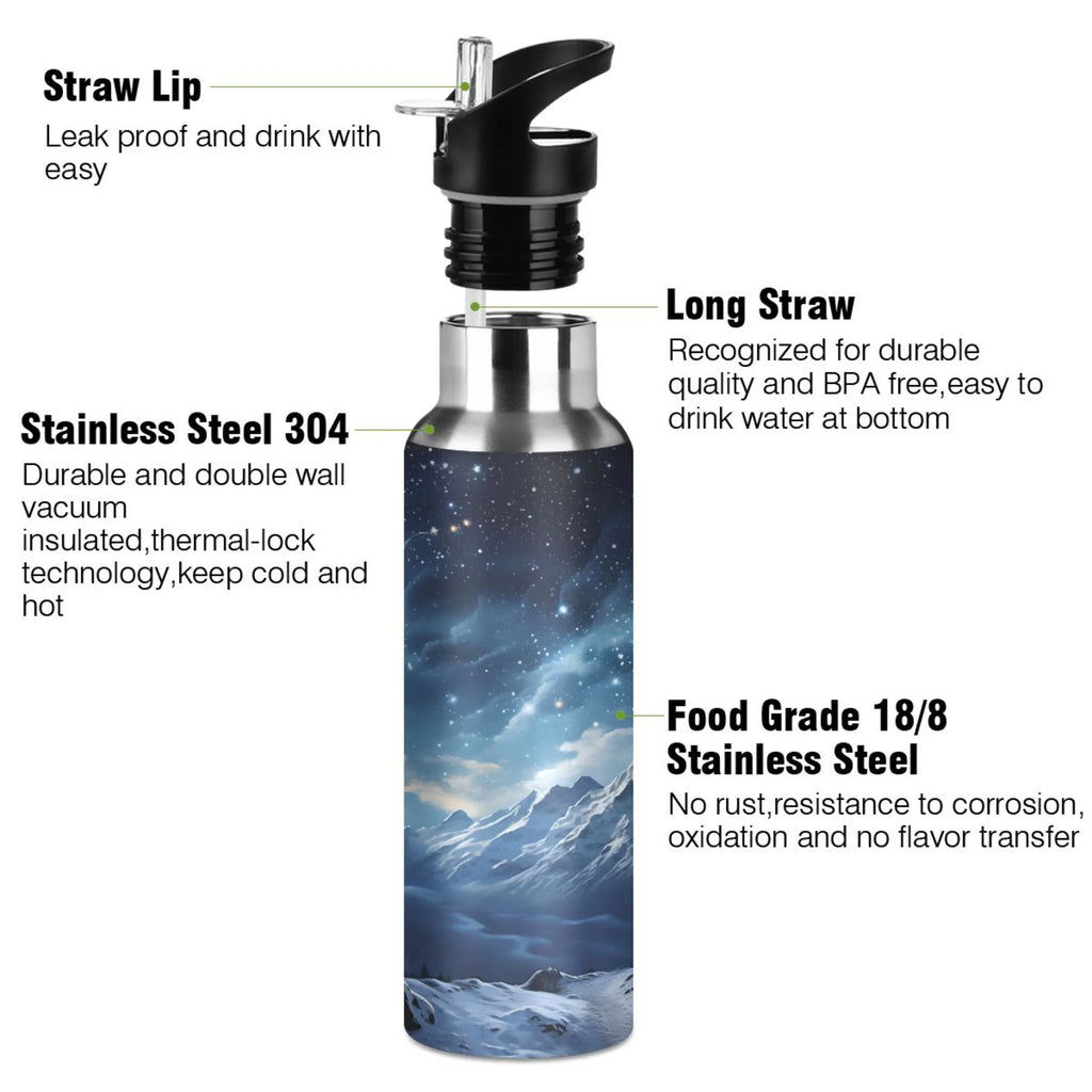 Stainless Steel Insulated Water Bottle with Straw Lid D69364