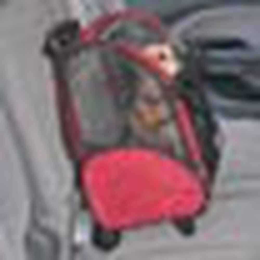 Travel Pet Carrier U182926