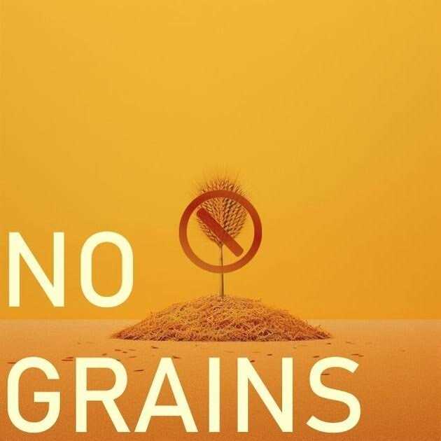 Freeze Dried Chicken Pet Supplies G312