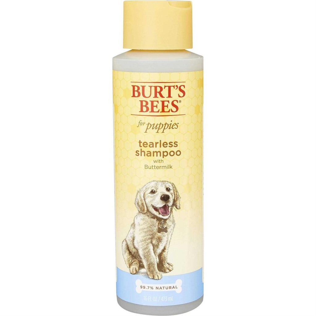 Tearless Shampoo with Buttermilk P505