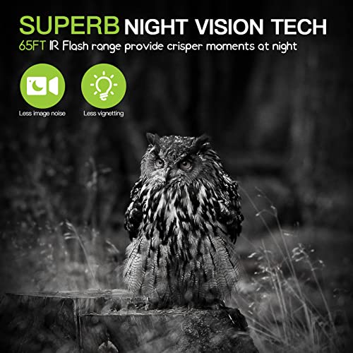 Trail Camera 2 Pack 36 MP 2.7K with 32GB Memory Card 4 Batteries 2.0" LCD Screen 120° Night Vision IP66 Waterproof Y7870