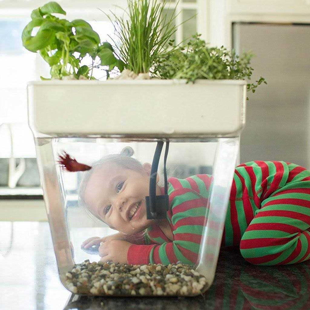 Water Garden X782116