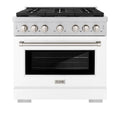 36 5.2 cu. ft. Gas Range with Convection Oven Stainless Steel White Matte Door O679505