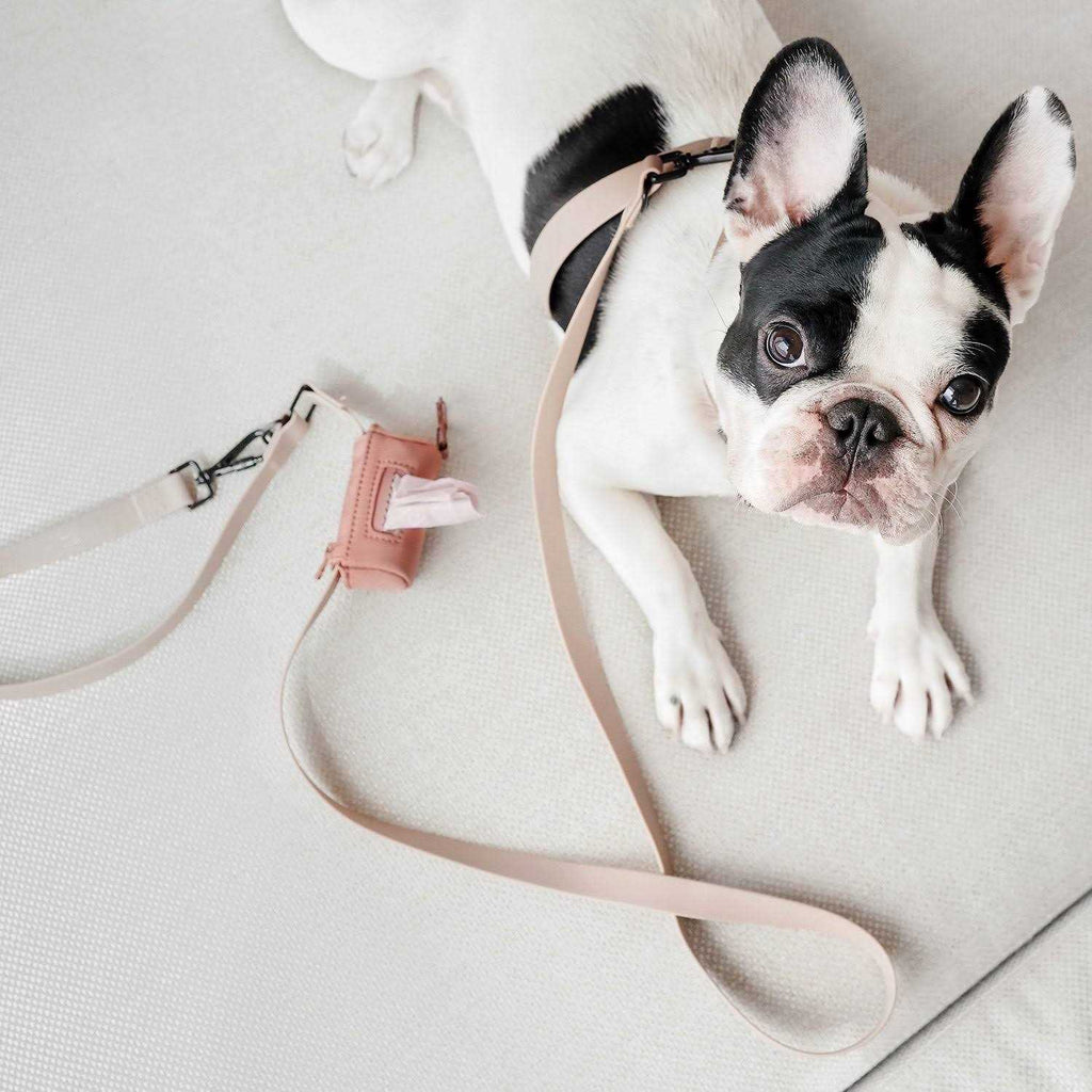 Hands Free Long Dog Leash U9016