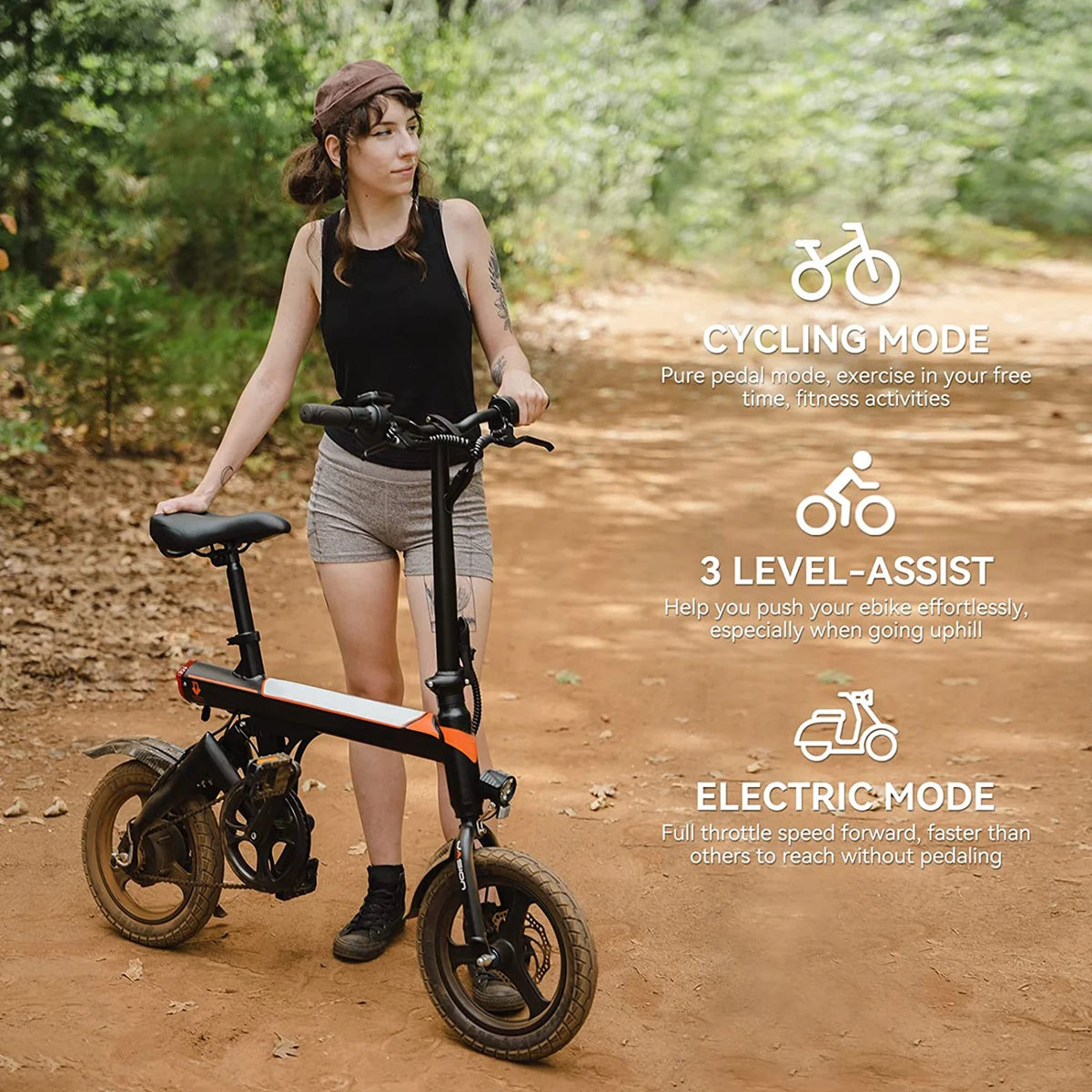 14 Folding Electric Bike with 350W Motor A8133