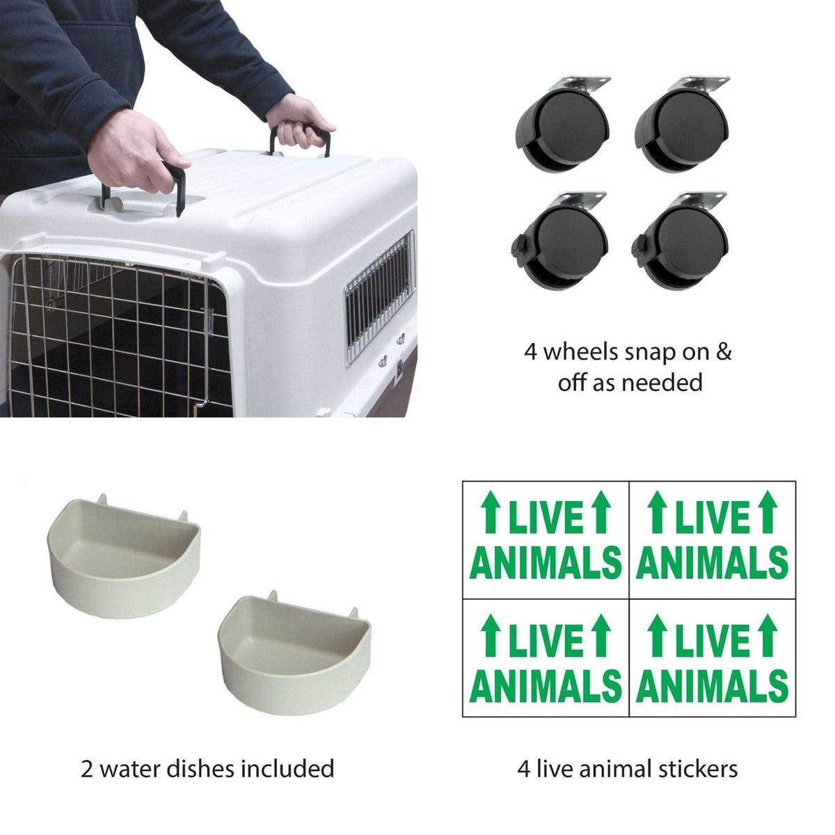 Plastic Dog Crate C762850