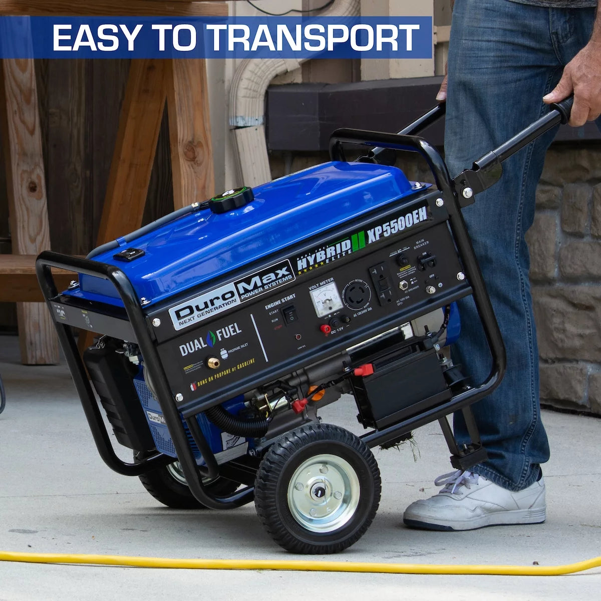 5500-Watt Dual Fuel Portable Generator D795309