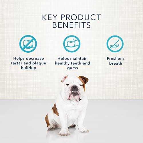 Dental Bones Dog Treats B303