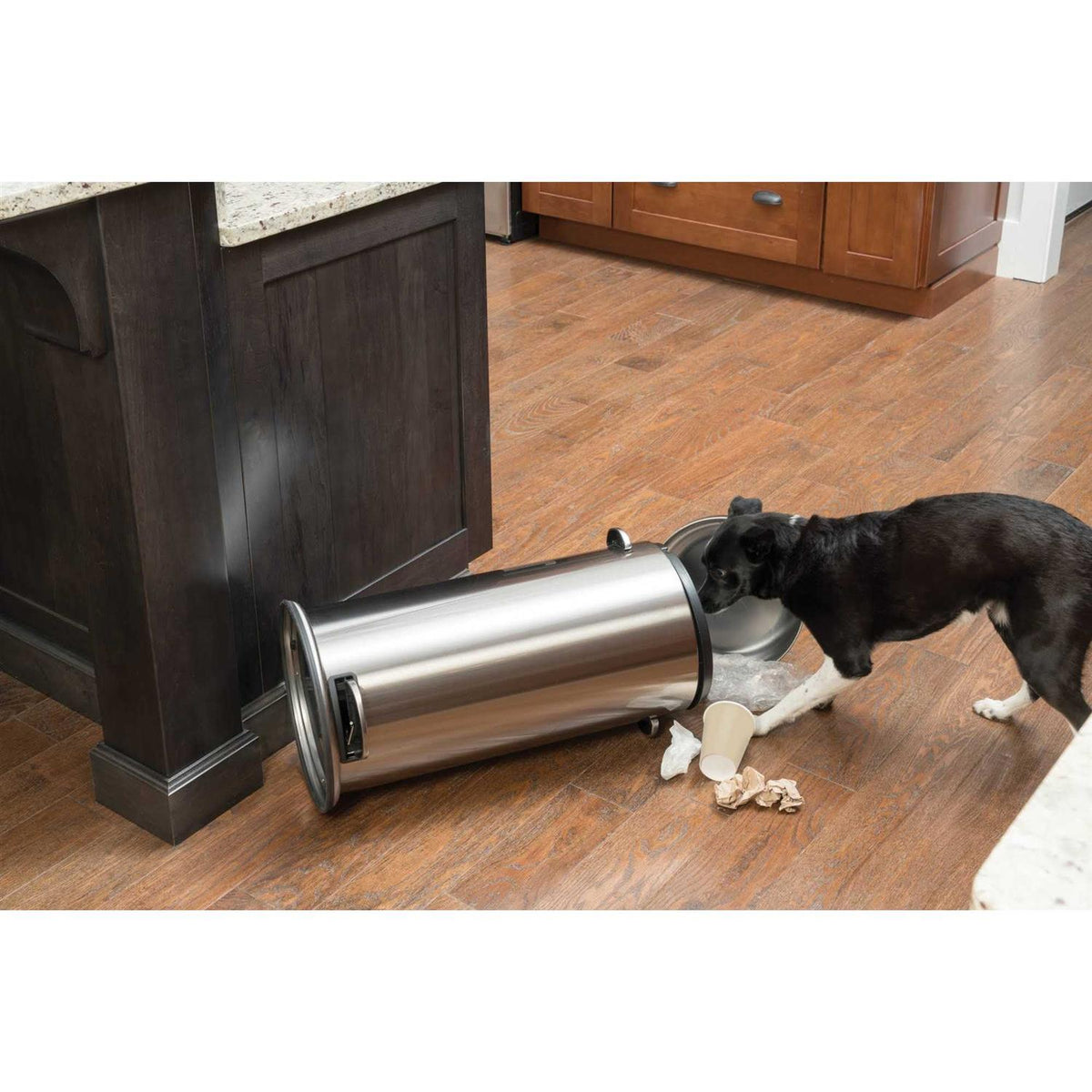 Dog Trainer H93523